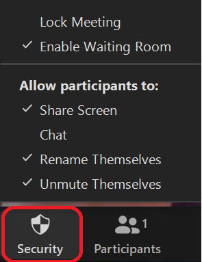 Skjermbilde av Security-knapp i Zoom