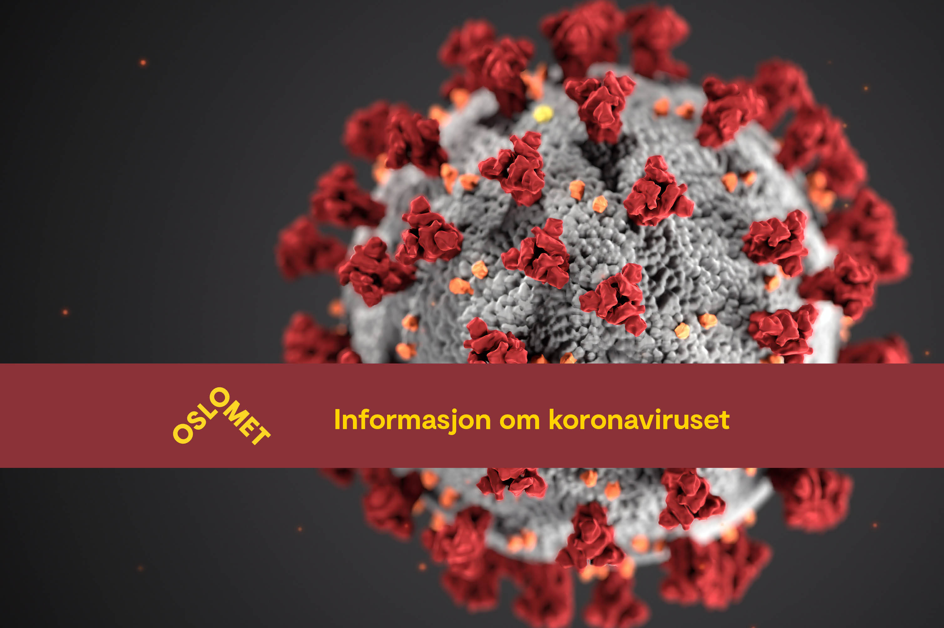 Koronaberedskap og studiestart