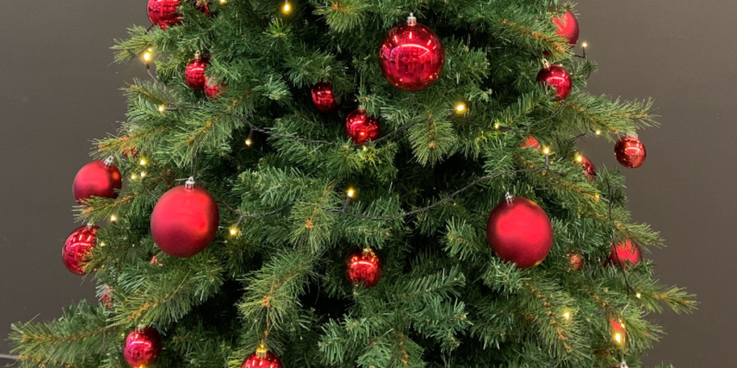 Nærbilde av et juletre med røde julekuler.