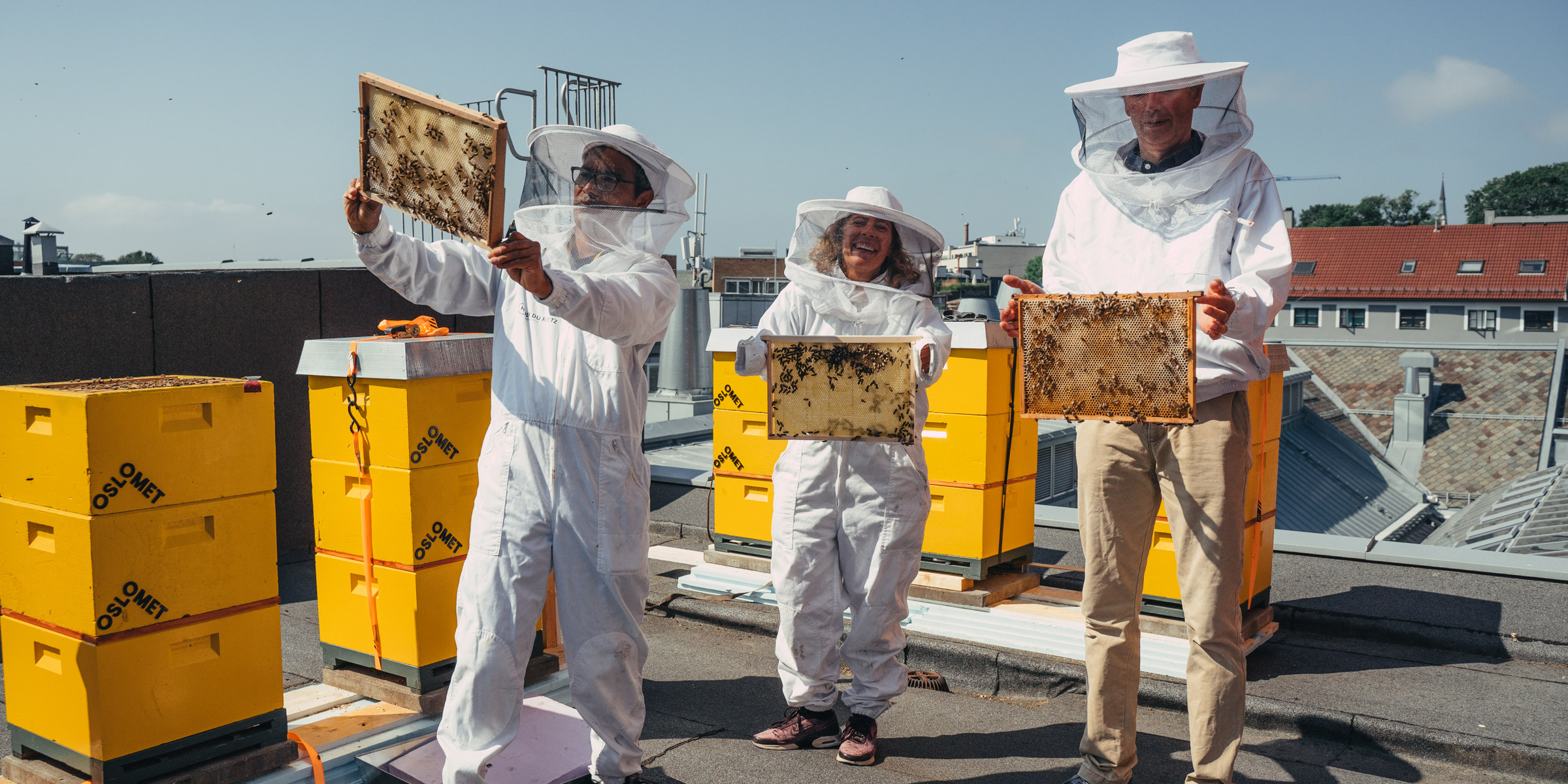 Picture of beehives and people on the rooftop