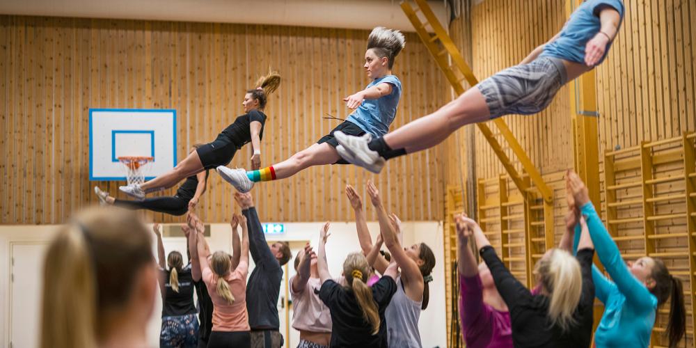 New board for the OsloMet Employee Sports Team