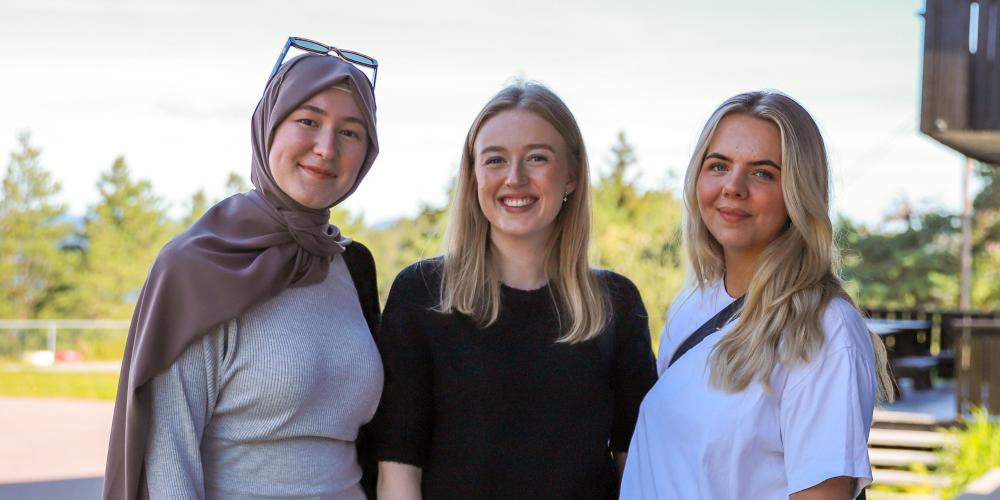 Historisk praksissamarbeid på Holmlia