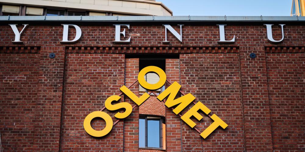Manglende midler til Erasmus+ Blended Intensive Programmes