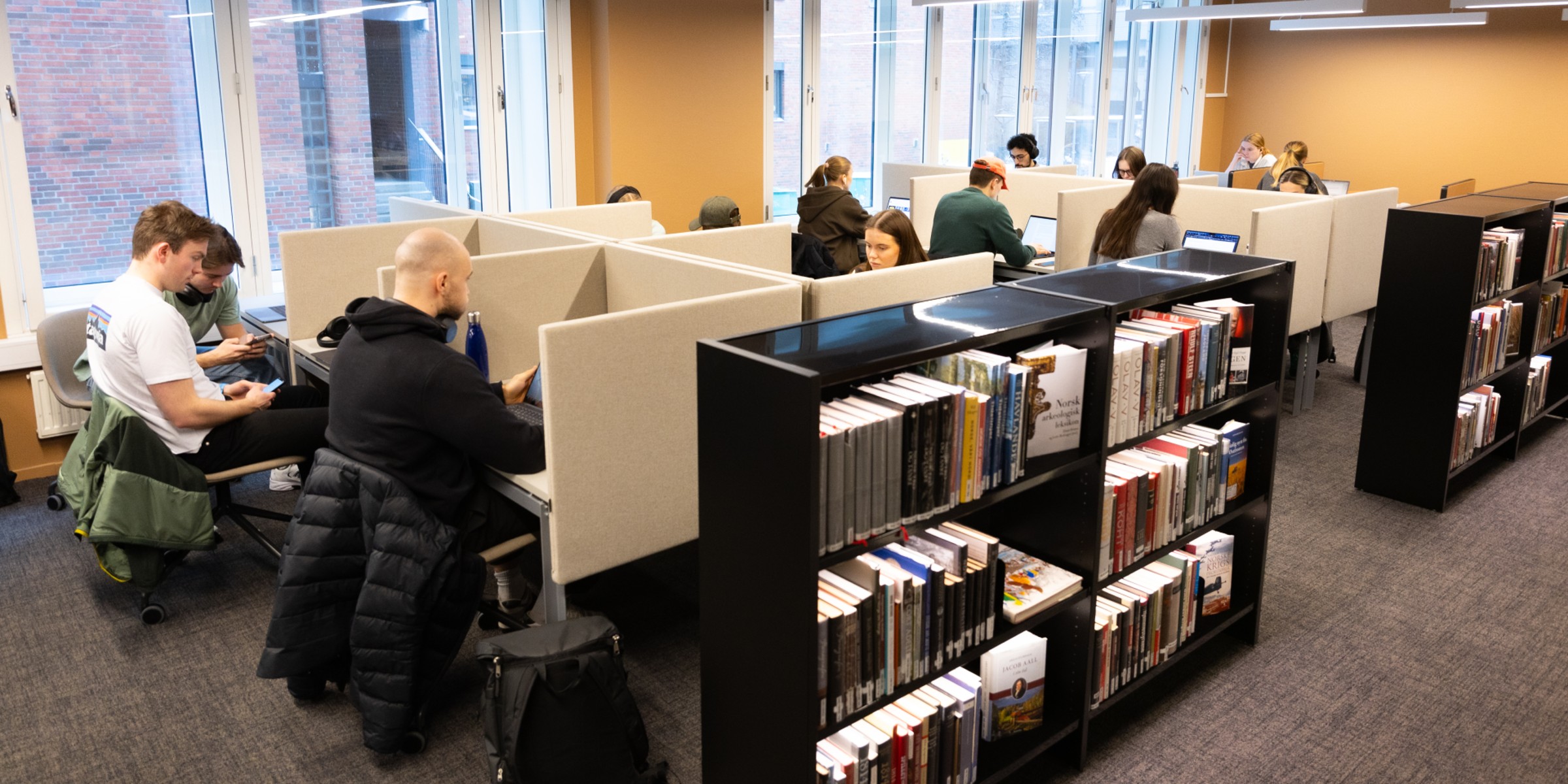 Picture of students at the library.