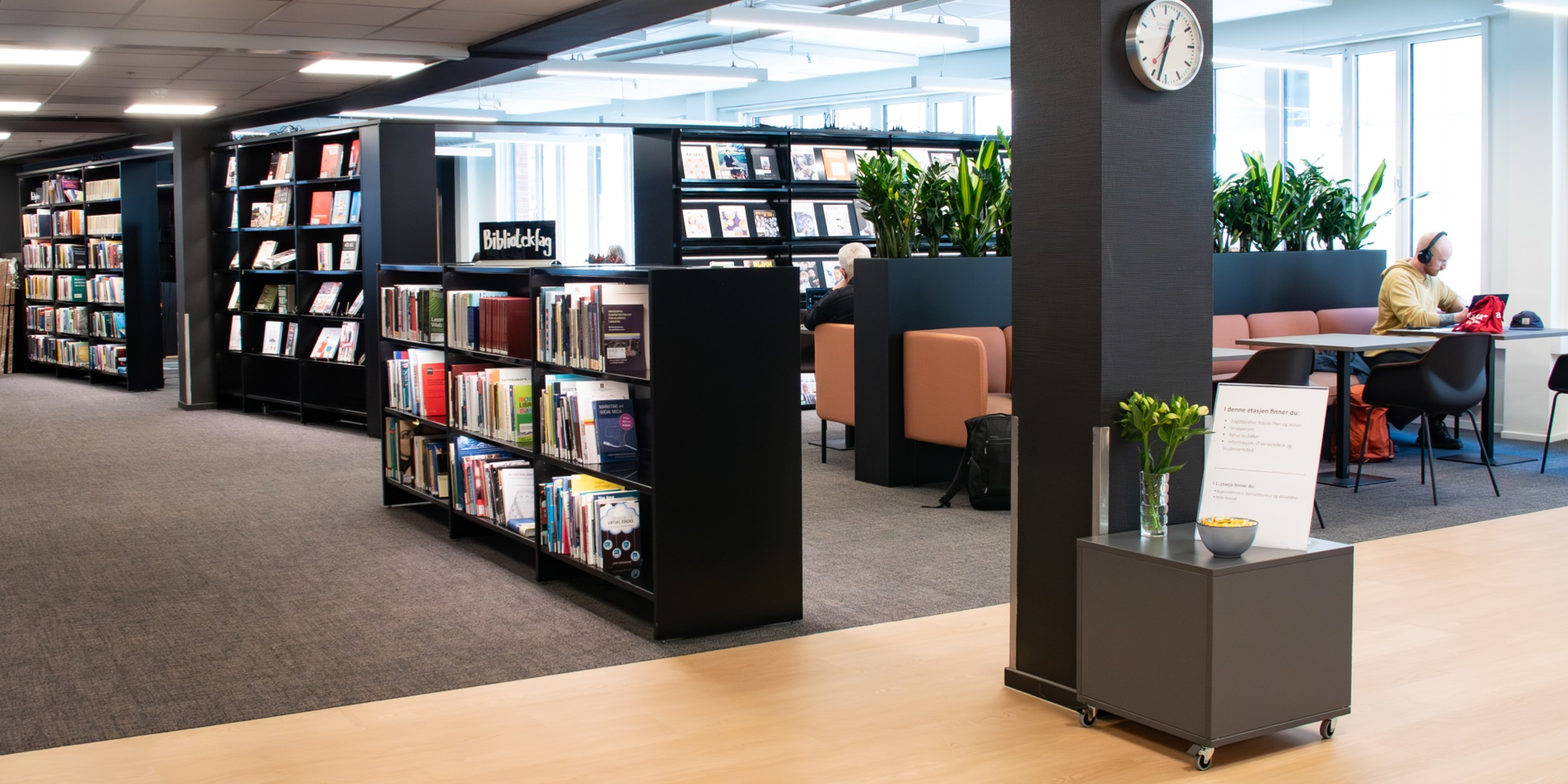 Book shelves in library P48.